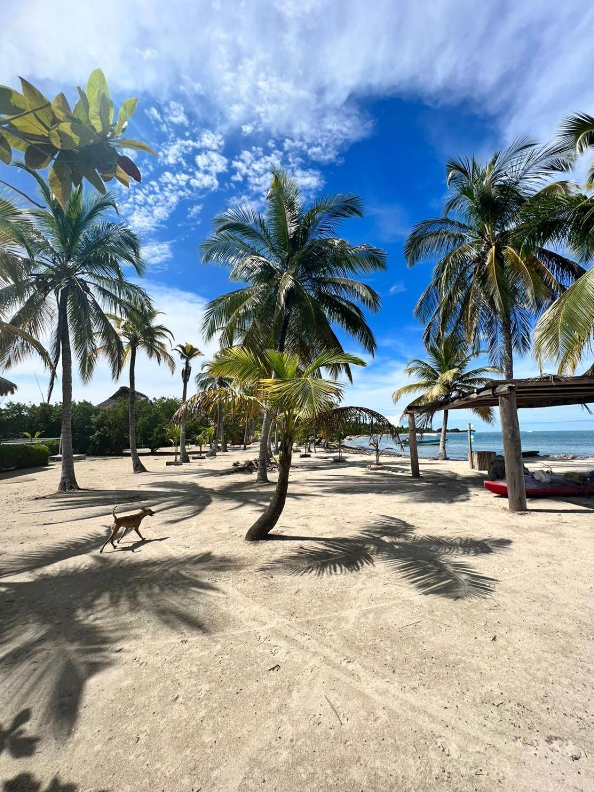 Hostel Beach House Rincón Eksteriør billede
